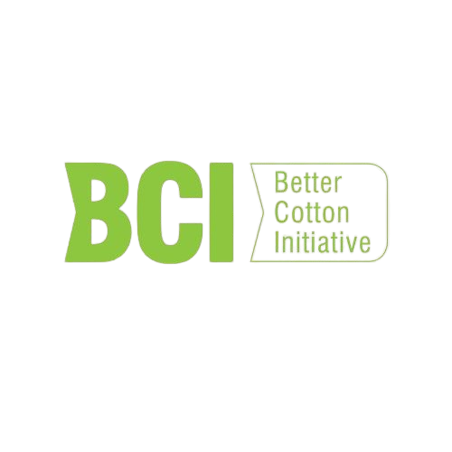 BSI-removebg-preview